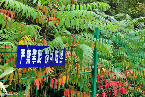 景區(qū)防護(hù)網(wǎng)